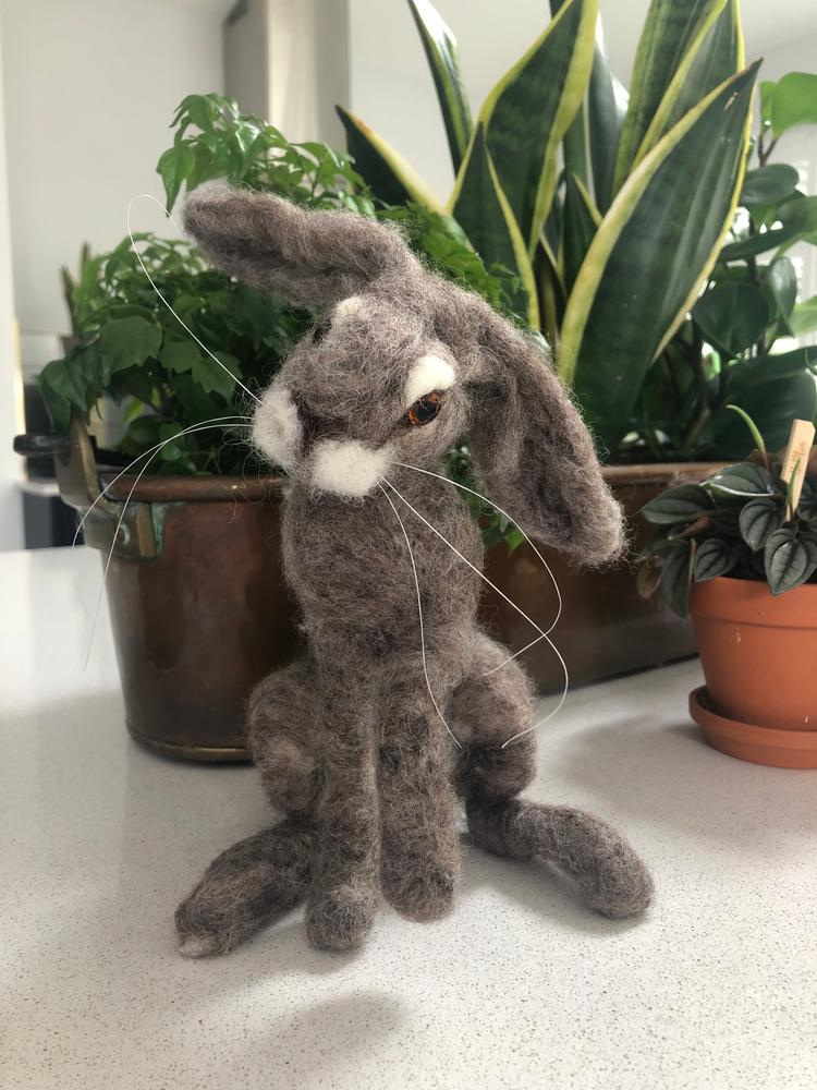 Wild Scottish Hare Needle Felting Craft Kit - Customer Photo From Diane