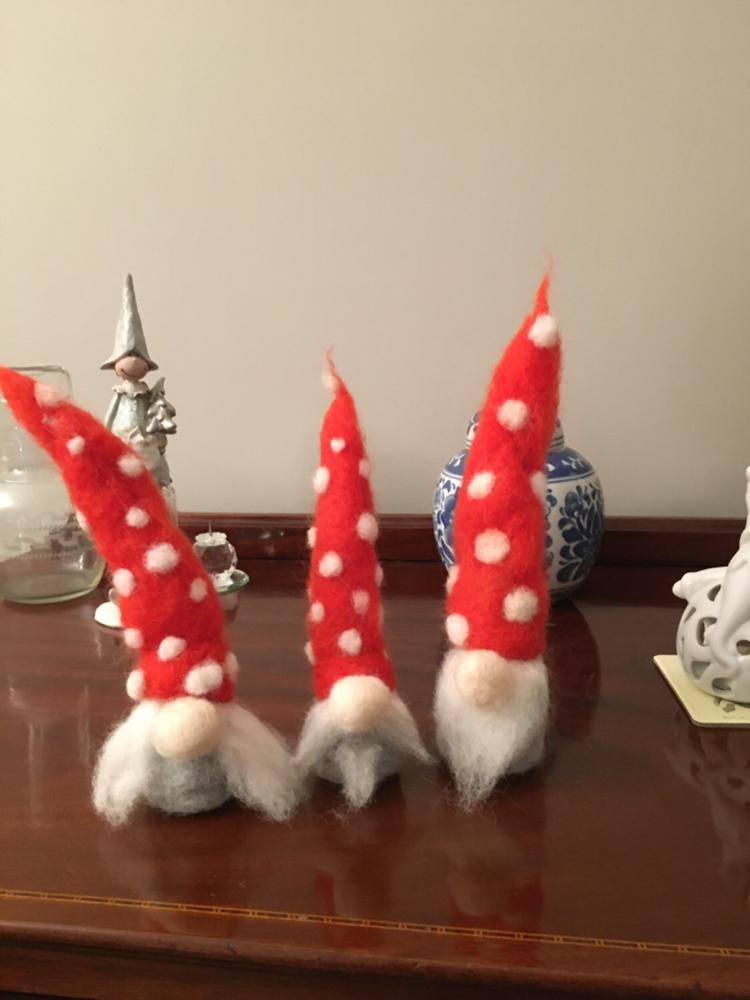 Nordic Gnomes Needle Felting Kit - Customer Photo From Anne Lewis