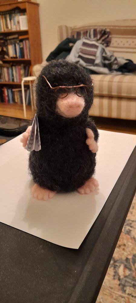 Mr Mole Needle Felting Craft Kit - Customer Photo From Jennifer 