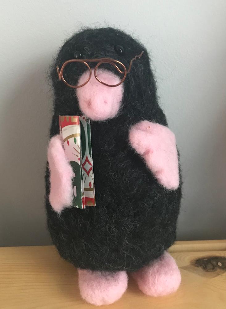 Mr Mole Needle Felting Kit - Customer Photo From Sheryl