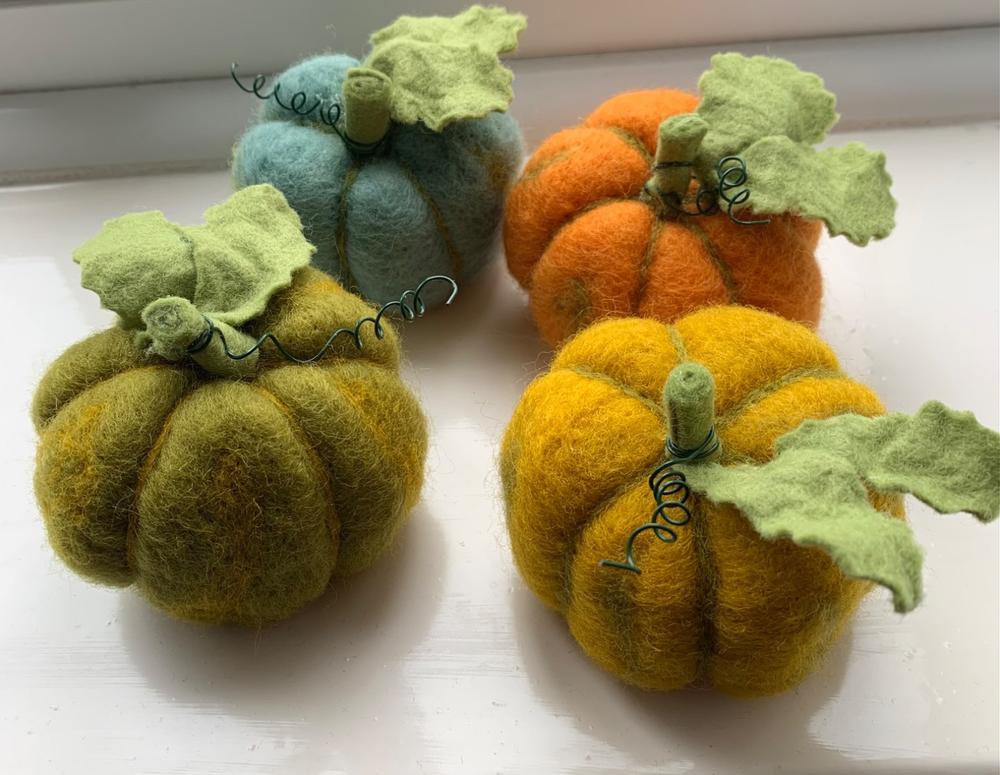 Woolly Pumpkins Needle Felting Craft Kit - Customer Photo From Lisa Langley-Fogg