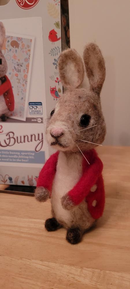 Bertie Bunny Needle Felting Kit - Customer Photo From Jayne Barber