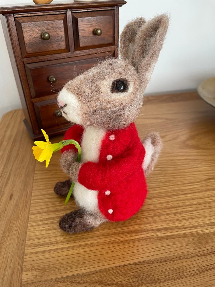 Bertie Bunny Needle Felting Kit - Customer Photo From Beth