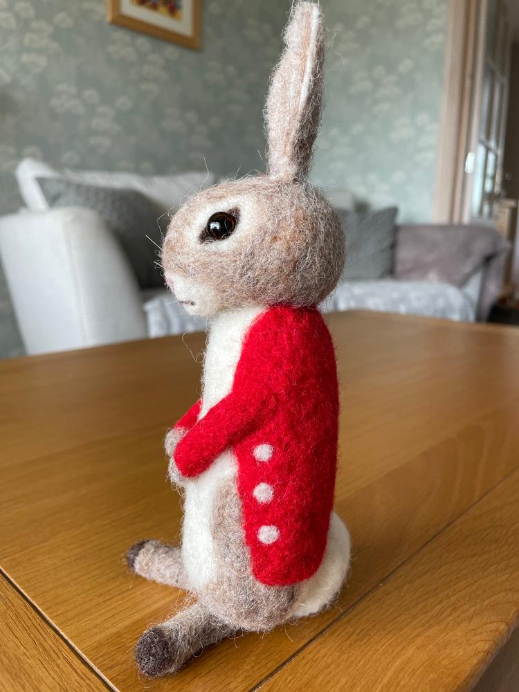 Bertie Bunny Needle Felting Craft Kit - Customer Photo From Tina