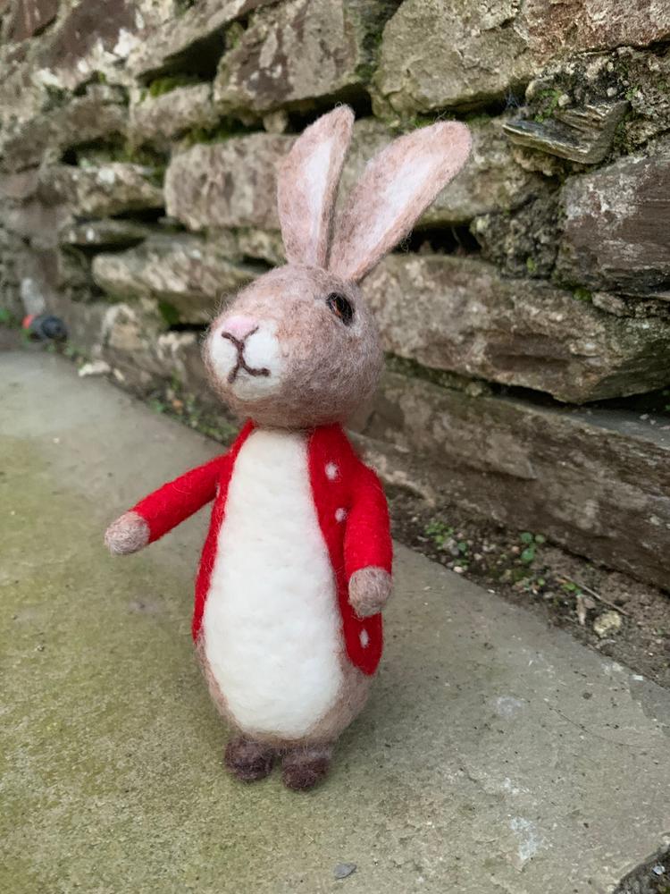 Bertie Bunny Needle Felting Kit - Customer Photo From Maria