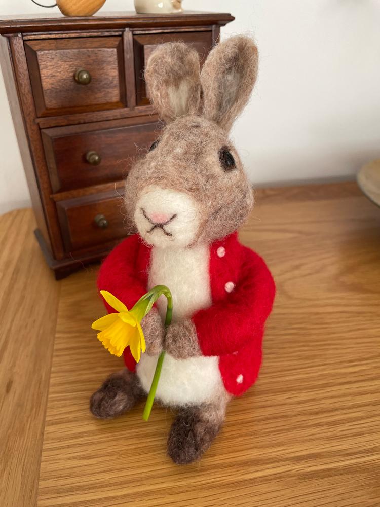 Bertie Bunny Needle Felting Kit - Customer Photo From Beth
