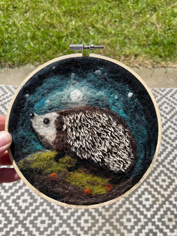 Hedgehog in a Hoop Needle Felting Craft Kit - Customer Photo From Rachel 