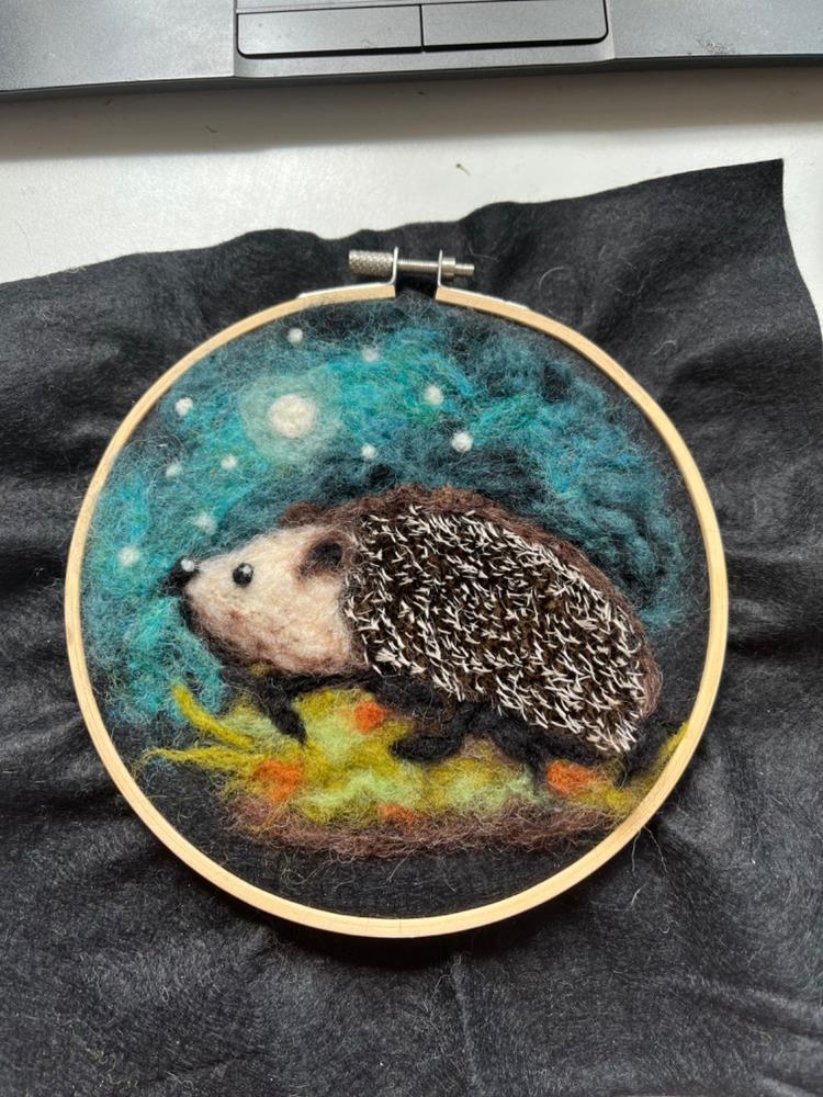 Hedgehog in a Hoop Needle Felting Craft Kit - Customer Photo From Linda Rhodes