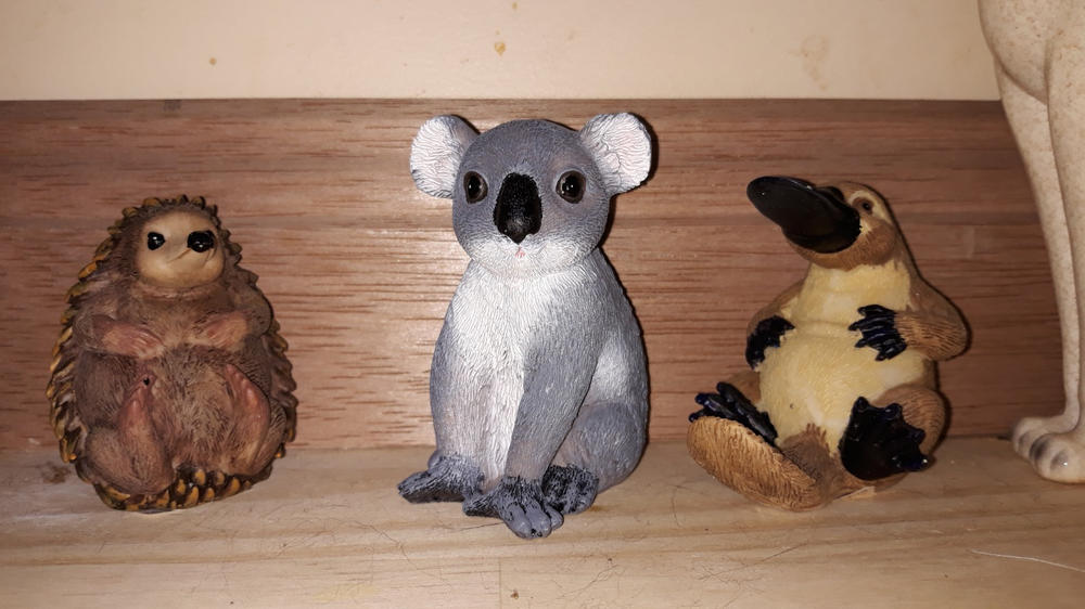 Native Platypus Figurine - Customer Photo From Sheryl Buchan