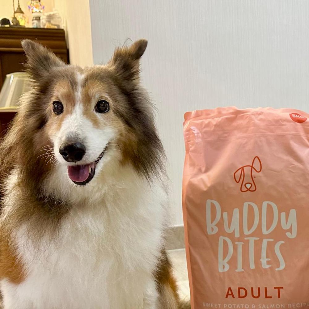 Buddy Bites Adult Salmon - Customer Photo From Jameille