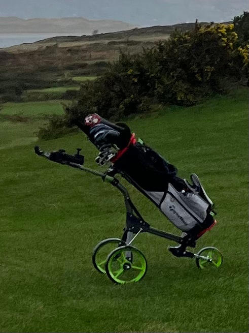 Dia de los Muertos Driver Headcover - Customer Photo From Anonymous