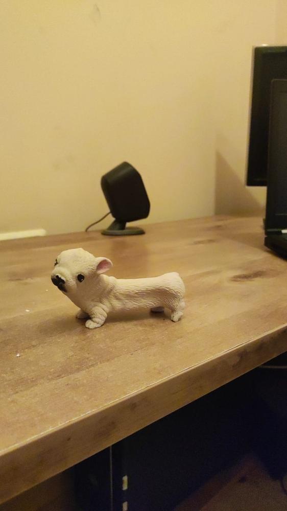 כלב בולדוג נמתח - Customer Photo From Anonymous