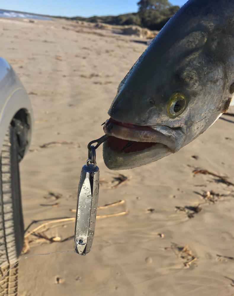 Busted Metal Fishing Lures - Customer Photo From John F.