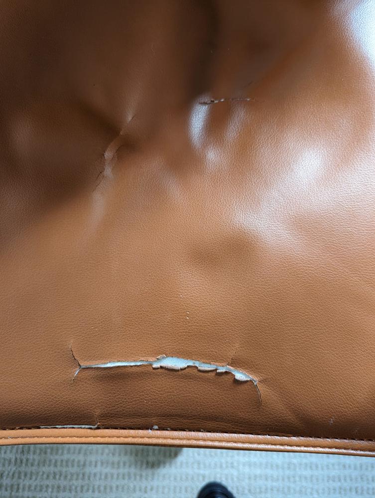 Brock Low Back Office Chair - Customer Photo From Jean