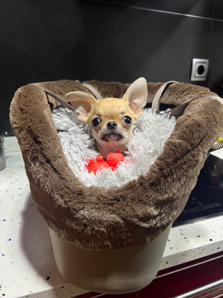 WITH-ME WINTER - Customer Photo From Jessica J.