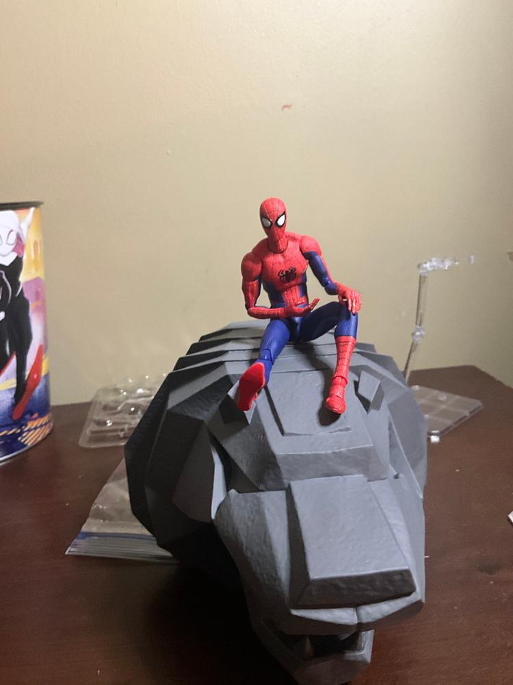 Sentinel Spider-Man: Spiderverse SV Action Peter B. Parker Non-scale Japan Painted Action Figure - Customer Photo From Rocco Jule