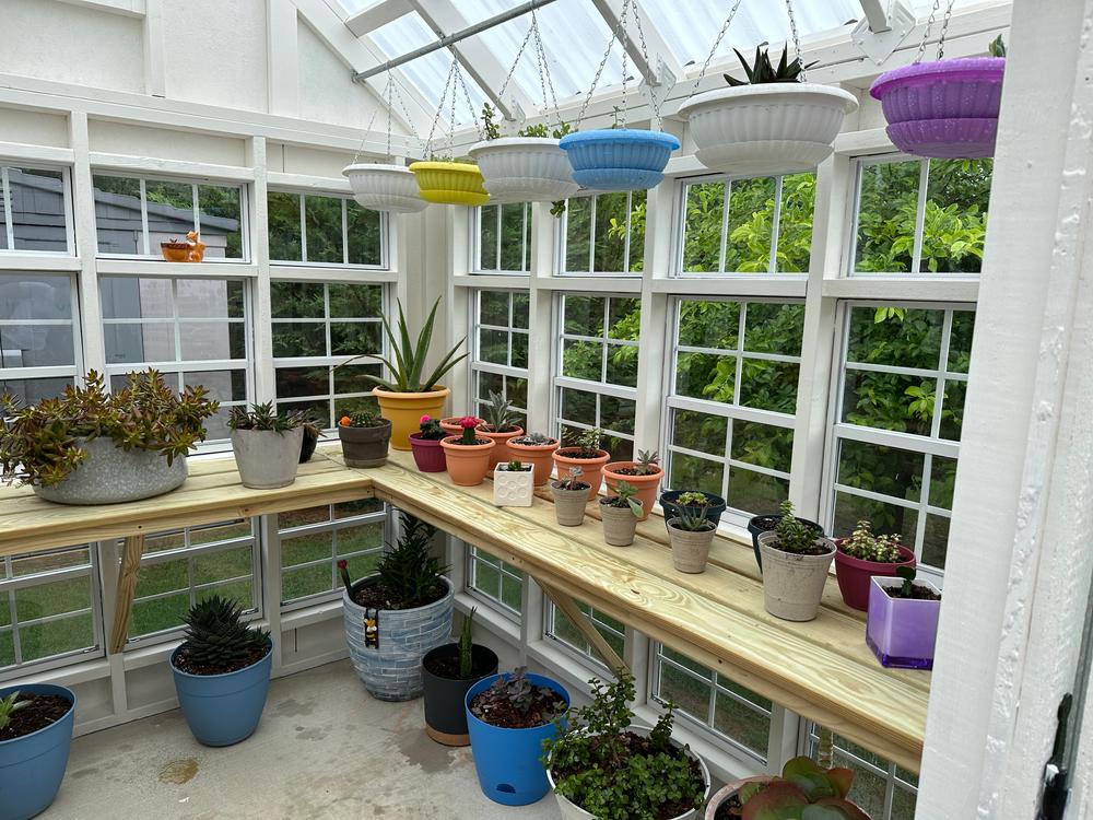 Little Cottage Company Colonial Greenhouse Gable Shed - Customer Photo From Ace