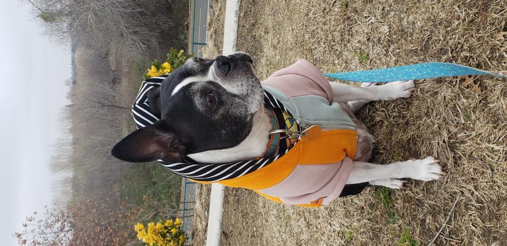 French Bulldog hoodie | Frenchie Clothing | Forest Sunrise - Customer Photo From Sylvia Espinoza