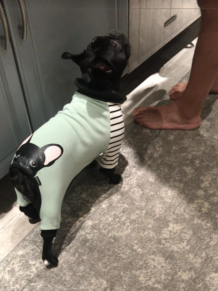 Пижама с французским бульдогом | Французская одежда | Черная французская собака — фото клиента от анонима