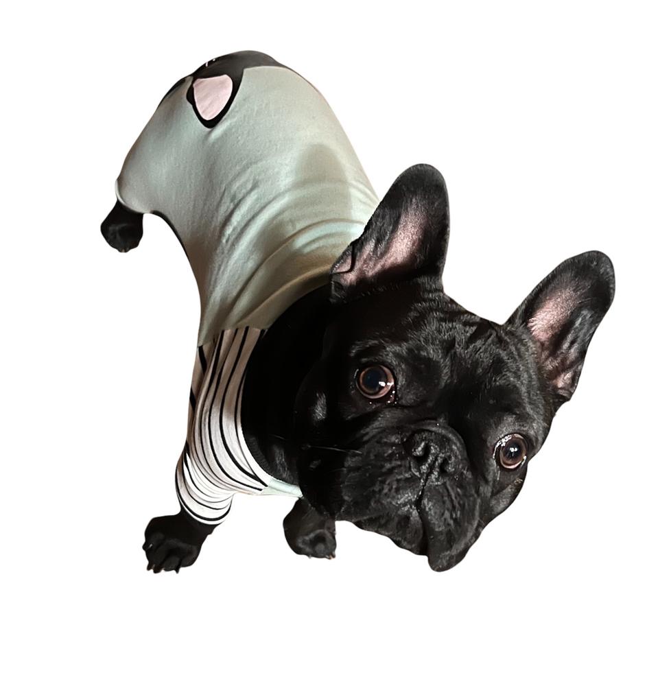 Пижама с французским бульдогом | Французская одежда | Черная французская собака - Фото клиента от Тони