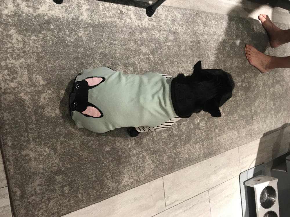 Пижама с французским бульдогом | Французская одежда | Черная французская собака — фото клиента от анонима