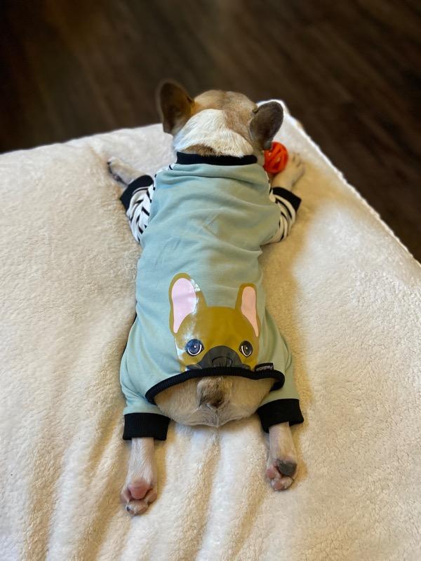Pijamas de Bulldog Francés | Ropa francesa | Perro Frenchie cervatillo - Foto del cliente de Heather W.
