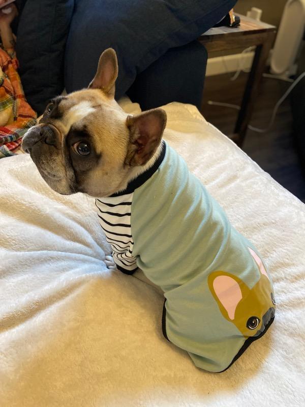 Schlafanzug mit französischer Bulldogge | Frenchie-Kleidung | Rehkitz-Frenchie-Hund – Kundenfoto von Heather W.