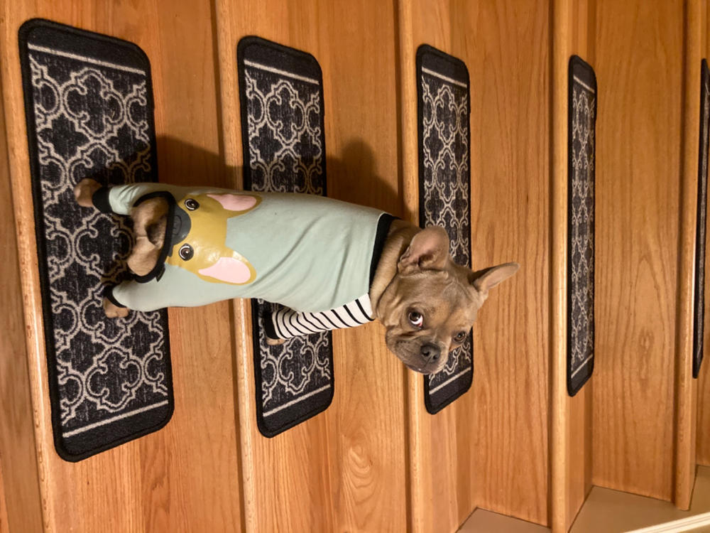 Schlafanzug mit französischer Bulldogge | Frenchie-Kleidung | Rehkitz-Frenchie-Hund – Kundenfoto von Anonymous