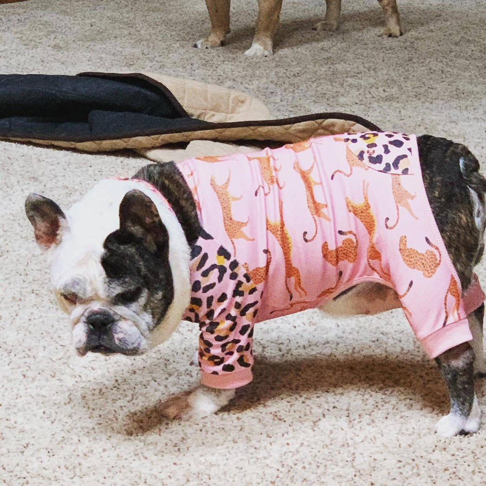 French Bulldog Pajamas | Frenchie Clothing | Wild One - Customer Photo From Priscilla McDaniel