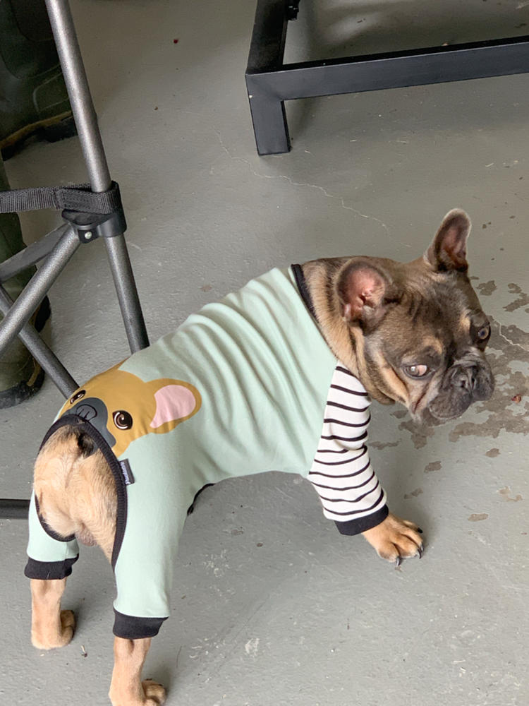 French Bulldog Pajamas | Frenchie Clothing | Buffalo Plaid - Customer Photo From Penny P.
