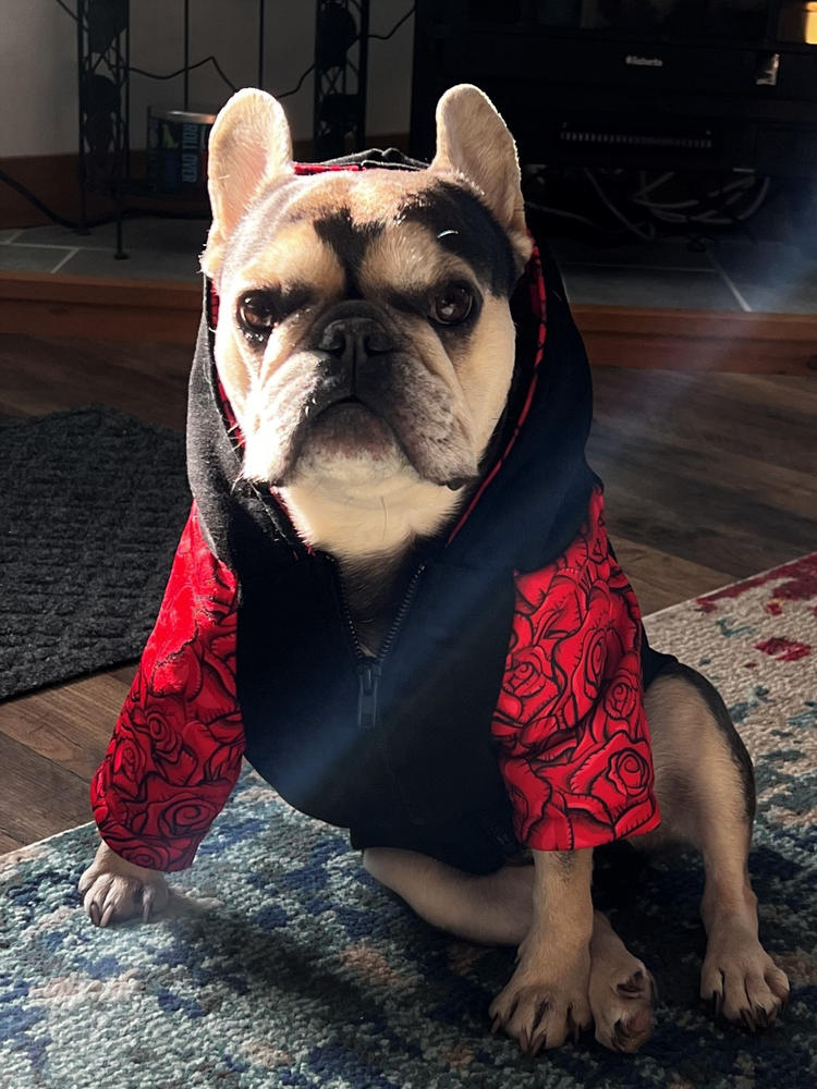 Frenchiestore Organic Dog hoodie | Lips & Roses - Customer Photo From Kim H.