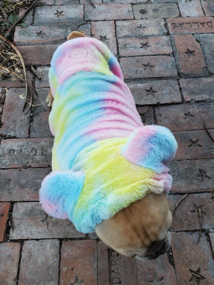 Frenchiestore Organic Dog Frenchie Ear Hoodie | Care Bear - Customer Photo From Crista E.