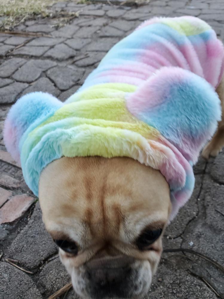 Frenchiestore Organic Dog Frenchie Ear Hoodie | Care Bear - Customer Photo From Crista E.