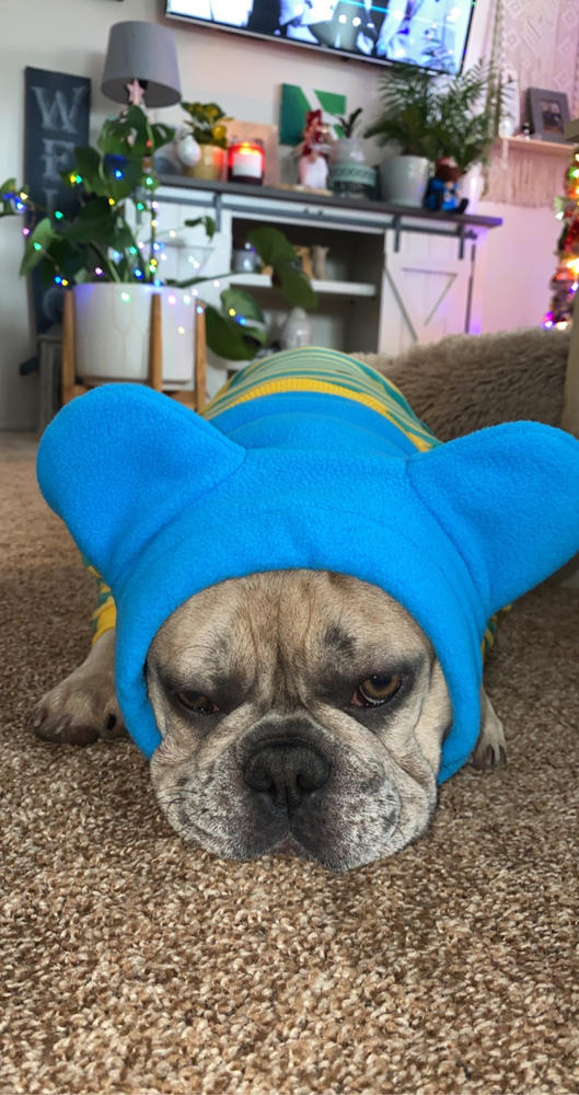 Frenchiestore Organic Dog Frenchie Ear Warmers | Blue - Customer Photo From Anonymous