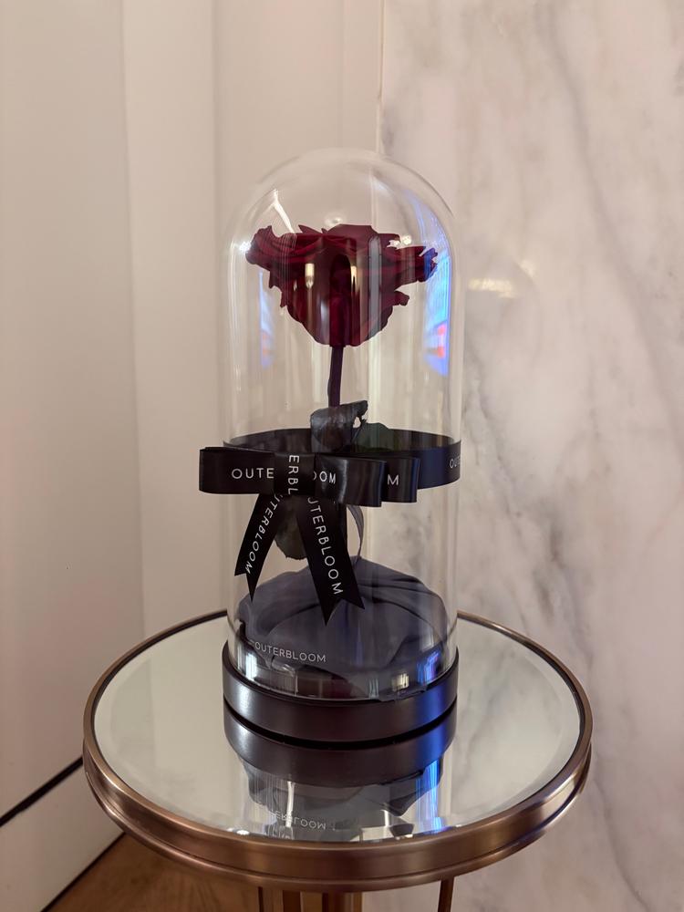 Enchanted Dome - Passionate Red - Customer Photo From Rizka Veronica