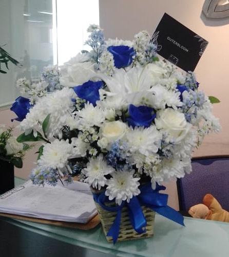 Royal Sapphire in Vase - Customer Photo From Haris