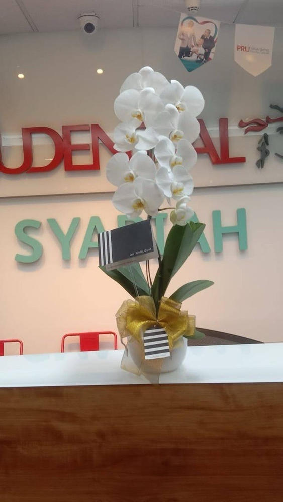 Classic White Orchid Majesty in Vase - Customer Photo From Fadila Alimuddin