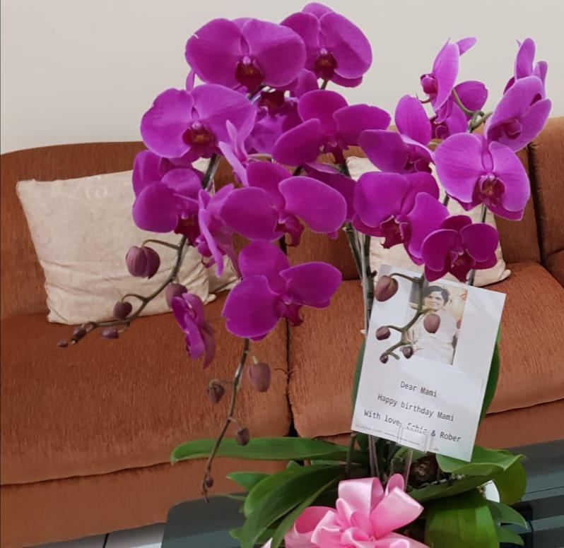 Classic Purple Orchid Majesty in Vase - Customer Photo From STELLA NURINA SUSANTO