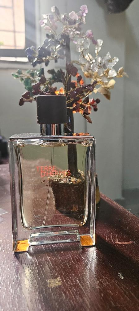 HERMES Terre de Hermes Eau Intense Vétiver Eau de Parfum for Men - Customer Photo From Aman