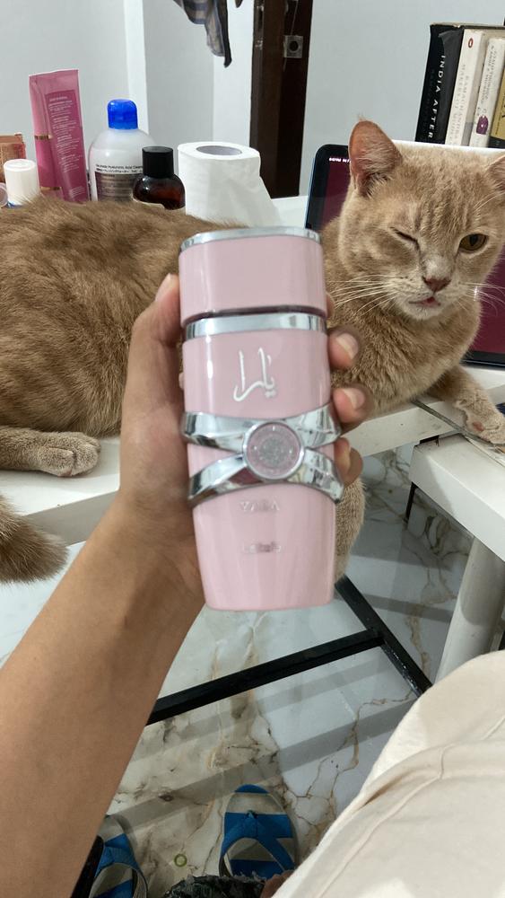 Lattafa Yara Eau de Parfum for Women - Customer Photo From Sudarshana Tamang