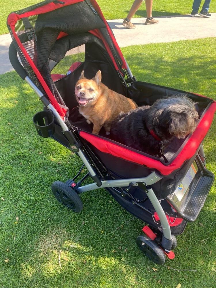 pet rover stroller reviews