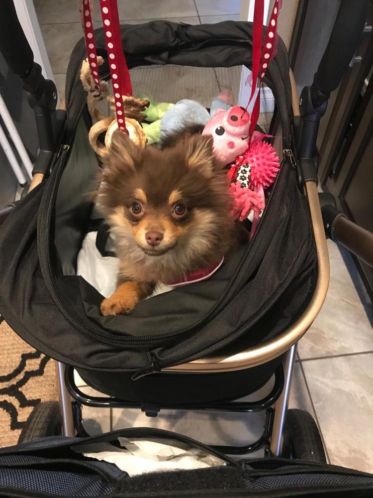 HPZ™ PET ROVER PRIME Luxury 3in1 Stroller for Small/Medium Dogs, Cat