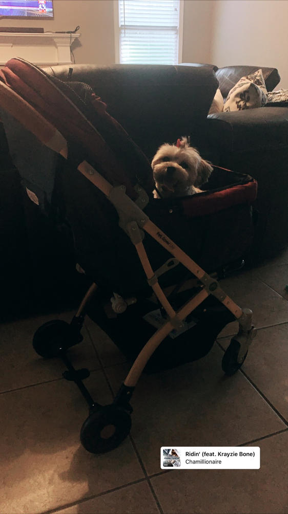 HPZ™ PET ROVER LITE Premium Light Travel Stroller for Small/Medium Dogs