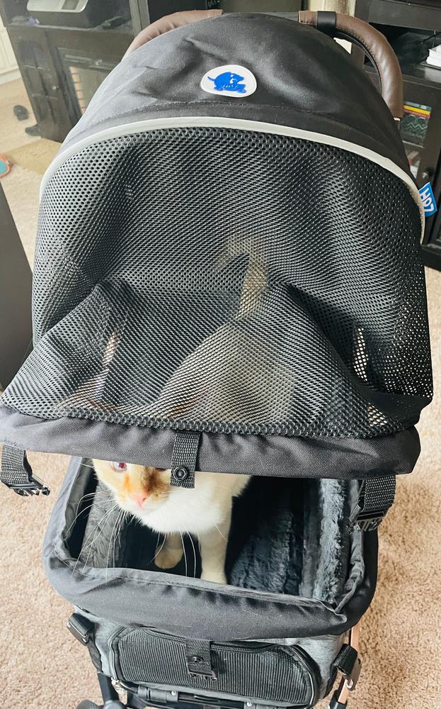 Ssg Digital Riding Gloves Black Pack HPZ-PR America Pet