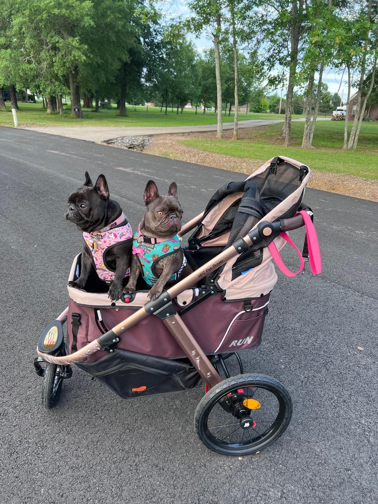 Dog running stroller hotsell