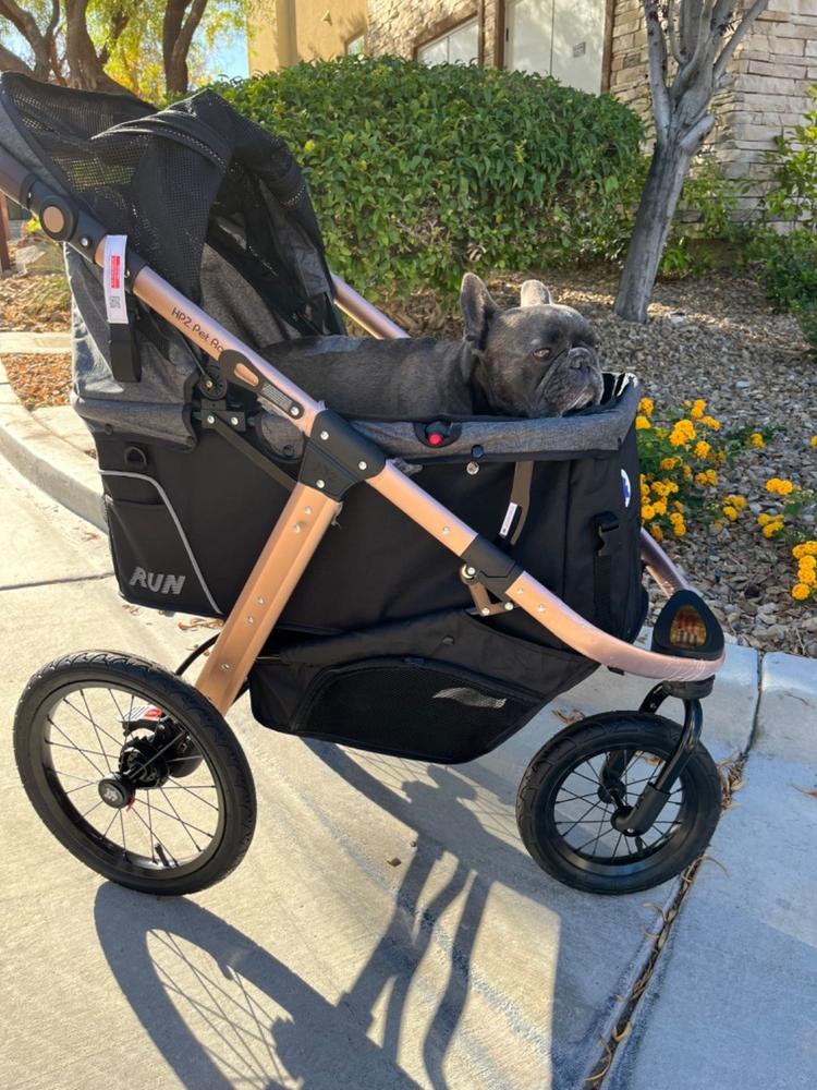 Buy Pet Jogging Stroller For Dogs and Cats Online