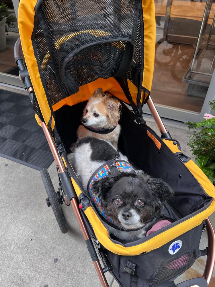 HPZ Pet Rover Run Jogging Stroller For Dogs All-terrain HPZ Pet