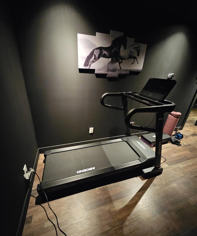 Ascend X3 | Premium Foldable Treadmill - Customer Photo From Gilles christian Pedro