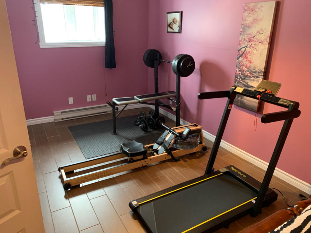 Ascend R-300 | Foldable Wooden Water Rower - Customer Photo From Sylvain Mainville