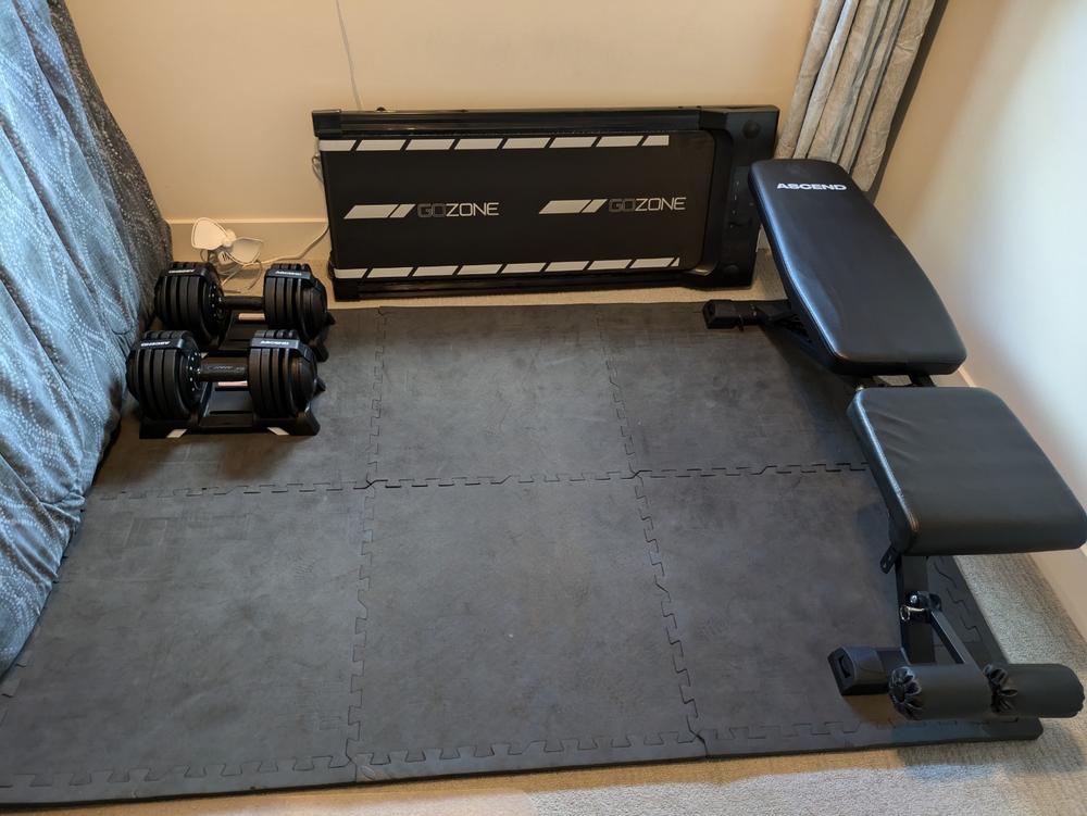 Bundle : Ascend 3-in-1 Adjustable Dumbbells (7 to 52.5 lb) & Bench - Customer Photo From Chelsea Travere